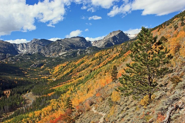 Rocky Mountain National Park Series – Finding Fall Colors This Weekendd